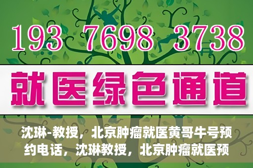 沈琳-教授，北京肿瘤就医黄哥牛号预约电话，沈琳教授，北京肿瘤就医预约热线及黄哥牛号解析