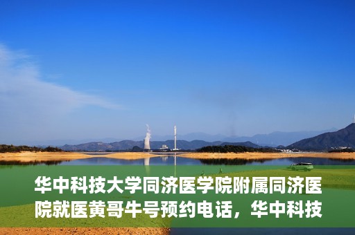 华中科技大学同济医学院附属同济医院就医黄哥牛号预约电话，华中科技大学同济医院就医黄哥牛号预约热线解析