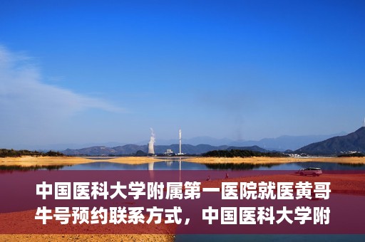 中国医科大学附属第一医院就医黄哥牛号预约联系方式，中国医科大学附属第一医院黄哥牛号预约挂号联系方式详解