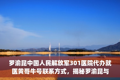 罗渝昆中国人民解放军301医院代办就医黄哥牛号联系方式，揭秘罗渝昆与黄哥牛在解放军301医院的代办就医联系方式揭秘