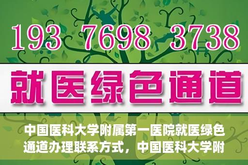 中国医科大学附属第一医院就医绿色通道办理联系方式，中国医科大学附属第一医院就医绿色通道联系指南，快速办理就医手续，轻松享受优质服务！