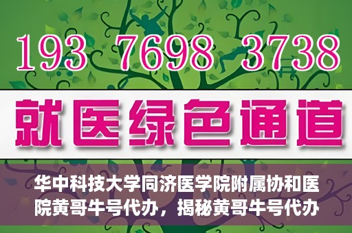 华中科技大学同济医学院附属协和医院黄哥牛号代办，揭秘黄哥牛号代办背后的故事，华中科技大学同济医学院附属协和医院就医新途径探索