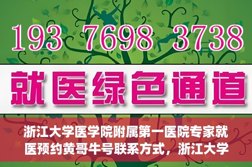 浙江大学医学院附属第一医院专家就医预约黄哥牛号联系方式，浙江大学医学院附属第一医院专家就医预约，黄哥牛号联系方式全解析