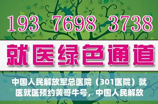 中国人民解放军总医院（301医院）就医就医预约黄哥牛号，中国人民解放军总医院（301医院）黄哥牛号就医预约攻略
