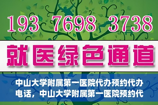 中山大学附属第一医院代办预约代办电话，中山大学附属第一医院预约代办服务热线揭秘