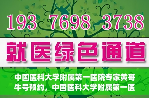 中国医科大学附属第一医院专家黄哥牛号预约，中国医科大学附属第一医院专家黄哥牛预约挂号攻略