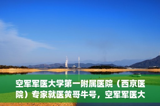 空军军医大学第一附属医院（西京医院）专家就医黄哥牛号，空军军医大学第一附属医院黄哥牛号专家就医解析