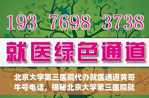北京大学第三医院代办就医通道黄哥牛号电话，揭秘北京大学第三医院就医代办通道背后的黄哥牛号电话秘密