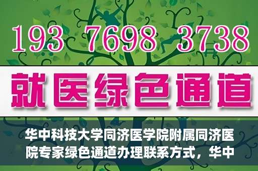 华中科技大学同济医学院附属同济医院专家绿色通道办理联系方式，华中科技大学同济医院专家绿色通道联系指南，快速办理秘籍与联系方式揭秘