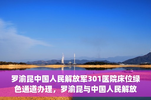 罗渝昆中国人民解放军301医院床位绿色通道办理，罗渝昆与中国人民解放军301医院床位绿色通道详解