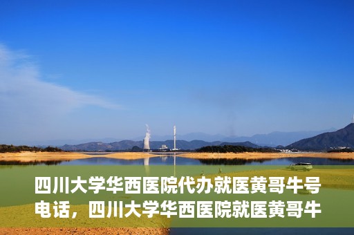 四川大学华西医院代办就医黄哥牛号电话，四川大学华西医院就医黄哥牛号代办服务电话揭秘