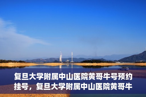 复旦大学附属中山医院黄哥牛号预约挂号，复旦大学附属中山医院黄哥牛号预约挂号攻略解析