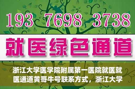 浙江大学医学院附属第一医院就医就医通道黄哥牛号联系方式，浙江大学医学院附属第一医院就医通道详解，黄哥牛号联系方式全攻略