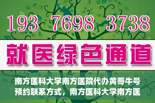 南方医科大学南方医院代办黄哥牛号预约联系方式，南方医科大学南方医院预约挂号代办联系方式解析，黄哥牛号预约攻略与联系方式揭秘