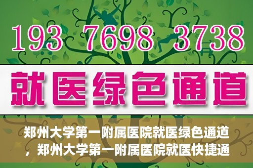 郑州大学第一附属医院就医绿色通道，郑州大学第一附属医院就医快捷通道揭秘