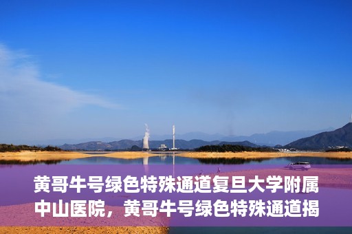 黄哥牛号绿色特殊通道复旦大学附属中山医院，黄哥牛号绿色特殊通道揭秘，复旦大学附属中山医院的独特之处