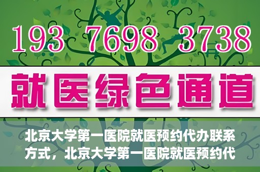 北京大学第一医院就医预约代办联系方式，北京大学第一医院就医预约代办服务指南，快速获取联系方式