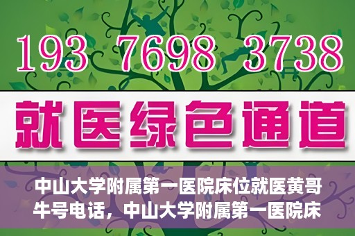 中山大学附属第一医院床位就医黄哥牛号电话，中山大学附属第一医院床位预约就医攻略，黄哥牛号电话全解析