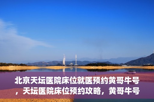 北京天坛医院床位就医预约黄哥牛号，天坛医院床位预约攻略，黄哥牛号助您轻松就医