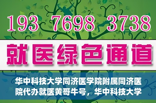 华中科技大学同济医学院附属同济医院代办就医黄哥牛号，华中科技大学同济医院就医黄哥牛号代办服务解析