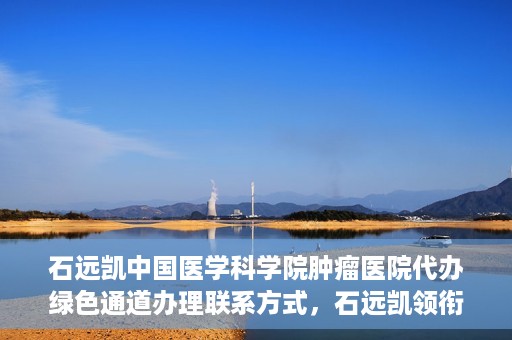 石远凯中国医学科学院肿瘤医院代办绿色通道办理联系方式，石远凯领衔的中国医学科学院肿瘤医院绿色通道办理指南与联系方式揭秘