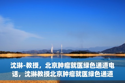 沈琳-教授，北京肿瘤就医绿色通道电话，沈琳教授北京肿瘤就医绿色通道热线电话揭秘