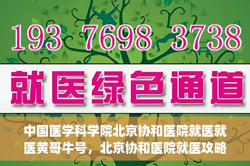 中国医学科学院北京协和医院就医就医黄哥牛号，北京协和医院就医攻略，黄哥牛号助您轻松挂号就医
