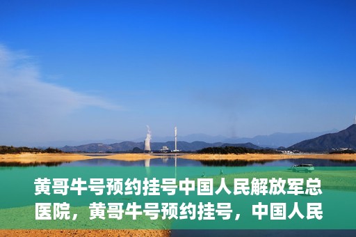黄哥牛号预约挂号中国人民解放军总医院，黄哥牛号预约挂号，中国人民解放军总医院就医新体验