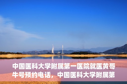 中国医科大学附属第一医院就医黄哥牛号预约电话，中国医科大学附属第一医院就医预约电话及黄哥牛号预约攻略
