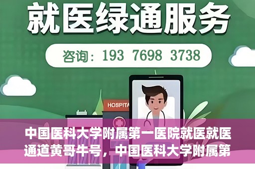中国医科大学附属第一医院就医就医通道黄哥牛号，中国医科大学附属第一医院就医通道详解，黄哥牛号引领就医新体验
