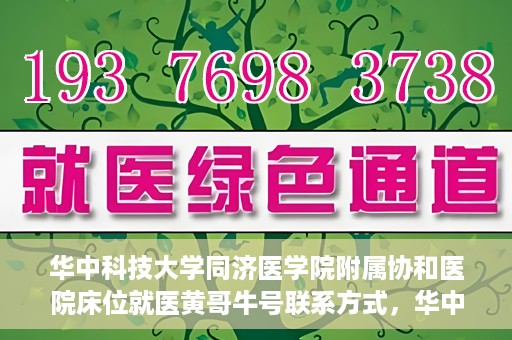 华中科技大学同济医学院附属协和医院床位就医黄哥牛号联系方式，华中科技大学同济医学院附属协和医院床位就医信息详解，黄哥牛号联系方式揭秘