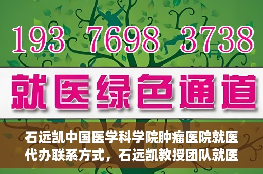 石远凯中国医学科学院肿瘤医院就医代办联系方式，石远凯教授团队就医咨询与代办服务联系方式——中国医学科学院肿瘤医院指南