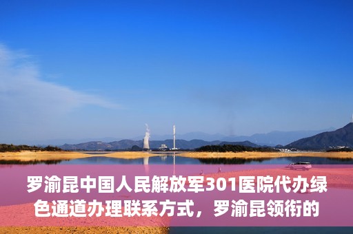 罗渝昆中国人民解放军301医院代办绿色通道办理联系方式，罗渝昆领衔的中国人民解放军301医院绿色通道办理指南及联系方式揭秘