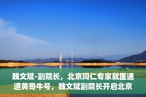 魏文斌-副院长，北京同仁专家就医通道黄哥牛号，魏文斌副院长开启北京同仁专家就医新通道，黄哥牛号引领就医新风尚