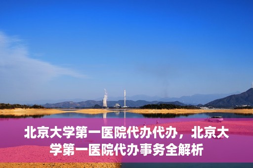 北京大学第一医院代办代办，北京大学第一医院代办事务全解析