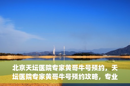 北京天坛医院专家黄哥牛号预约，天坛医院专家黄哥牛号预约攻略，专业医疗资源的便捷通道