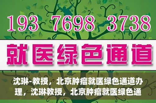 沈琳-教授，北京肿瘤就医绿色通道办理，沈琳教授，北京肿瘤就医绿色通道详解及办理指南