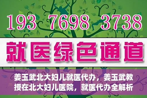 姜玉武北大妇儿就医代办，姜玉武教授在北大妇儿医院，就医代办全解析