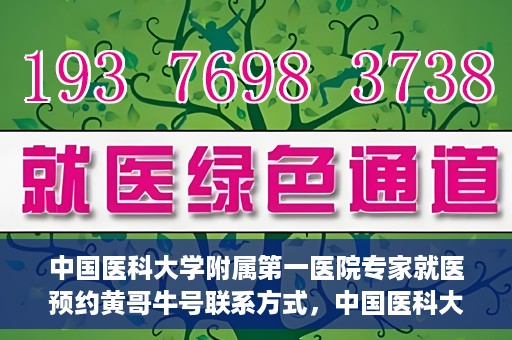 中国医科大学附属第一医院专家就医预约黄哥牛号联系方式，中国医科大学附属第一医院专家就医预约联系方式揭秘，黄哥牛号助您轻松挂号就医