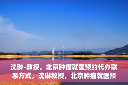 沈琳-教授，北京肿瘤就医预约代办联系方式，沈琳教授，北京肿瘤就医预约代办的权威联系方式揭秘