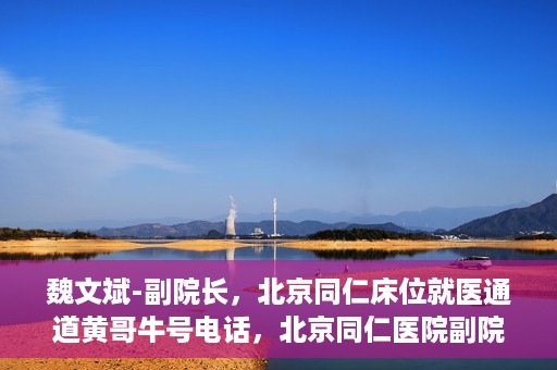 魏文斌-副院长，北京同仁床位就医通道黄哥牛号电话，北京同仁医院副院长魏文斌揭秘床位就医通道，黄哥牛号联系电话解读