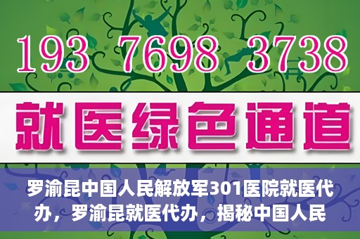 罗渝昆中国人民解放军301医院就医代办，罗渝昆就医代办，揭秘中国人民解放军301医院的医疗代办服务之路