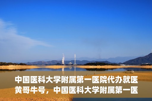 中国医科大学附属第一医院代办就医黄哥牛号，中国医科大学附属第一医院就医代办黄哥牛号服务解析