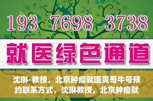 沈琳-教授，北京肿瘤就医黄哥牛号预约联系方式，沈琳教授，北京肿瘤就医预约攻略及黄哥牛号联系方式揭秘