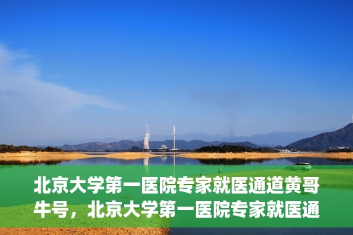 北京大学第一医院专家就医通道黄哥牛号，北京大学第一医院专家就医通道，黄哥牛号直通车