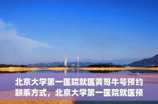 北京大学第一医院就医黄哥牛号预约联系方式，北京大学第一医院就医预约攻略，黄哥牛号预约联系方式揭秘