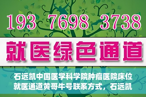石远凯中国医学科学院肿瘤医院床位就医通道黄哥牛号联系方式，石远凯教授，中国医学科学院肿瘤医院床位就医指南与联系方式揭秘