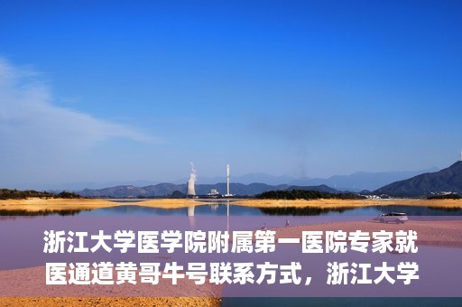 浙江大学医学院附属第一医院专家就医通道黄哥牛号联系方式，浙江大学医学院附属第一医院专家就医通道，黄哥牛号联系方式全解析