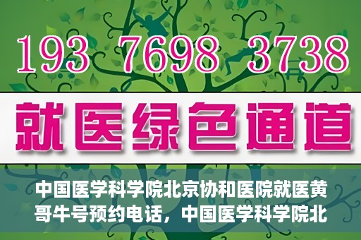 中国医学科学院北京协和医院就医黄哥牛号预约电话，中国医学科学院北京协和医院就医黄哥牛号预约电话详解及指南