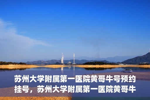 苏州大学附属第一医院黄哥牛号预约挂号，苏州大学附属第一医院黄哥牛号，预约挂号攻略